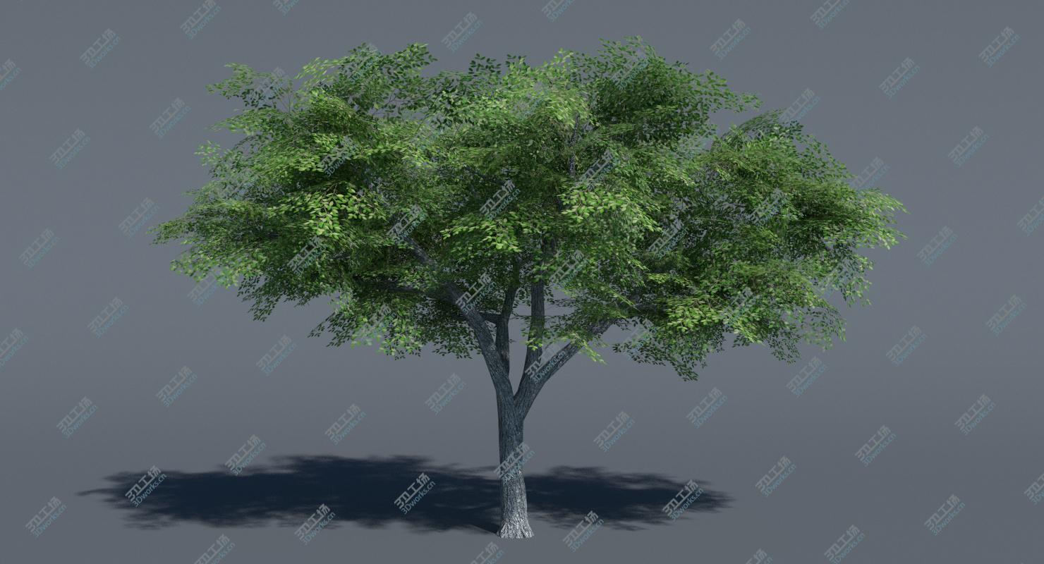 images/goods_img/20210113/Low Poly Tree Set/5.jpg